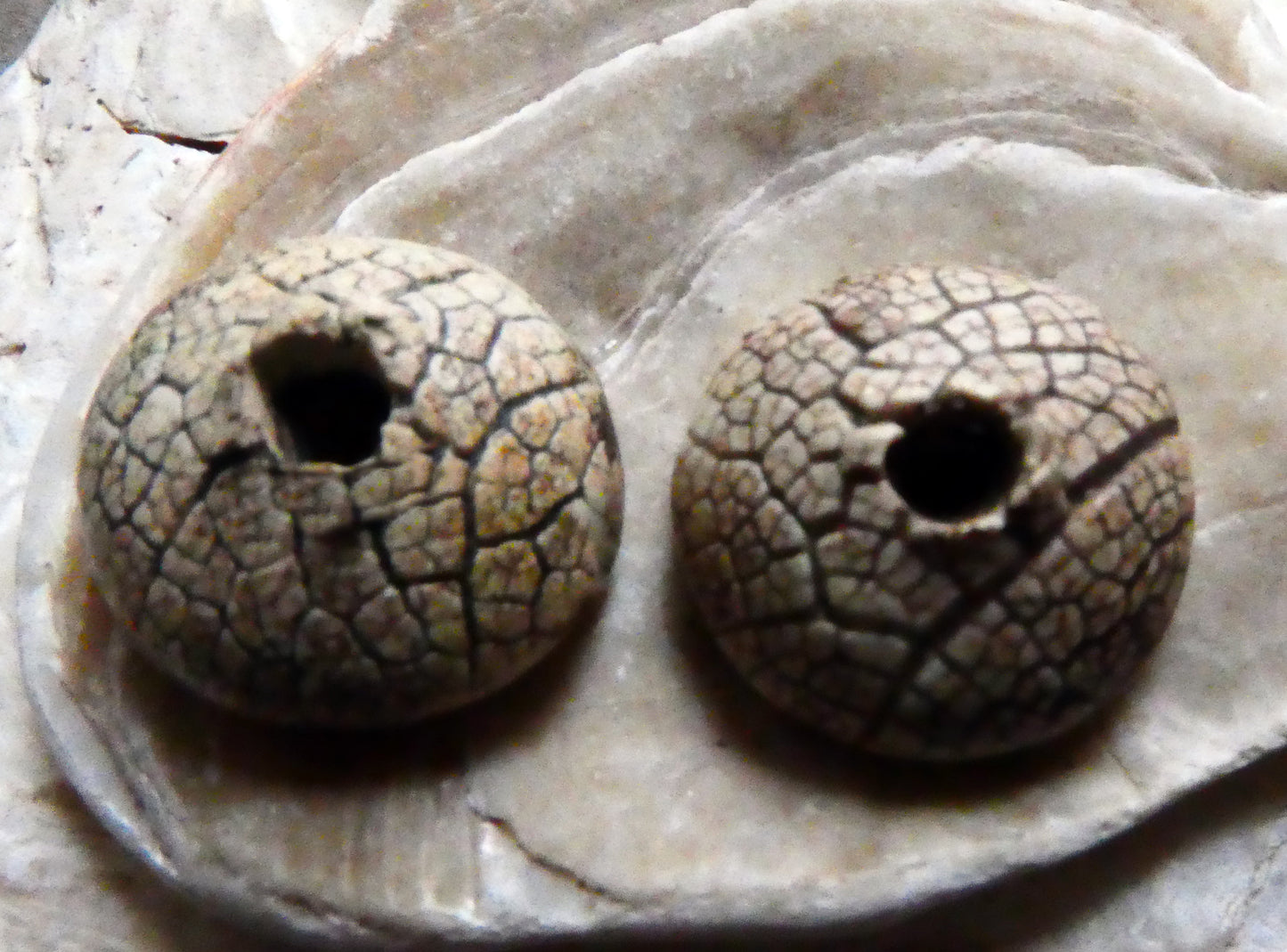 Ceramic Leaf Textured Bead Cap Earring Charms