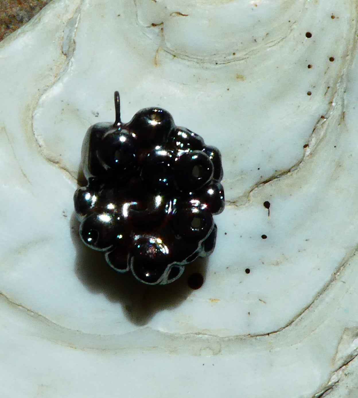 Ceramic Small Tentacle Pendant - Gloria