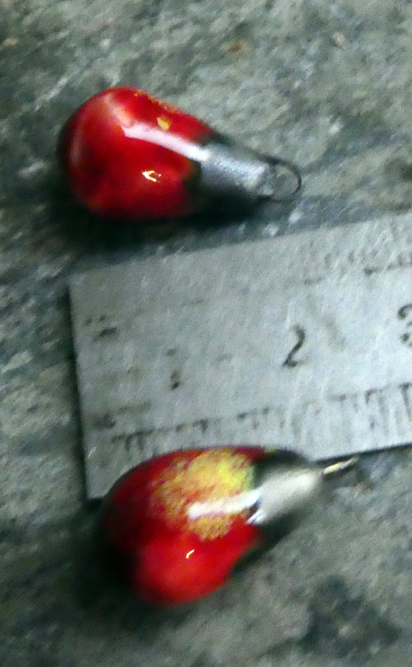 Ceramic Bronzy Drop Earring Charms -Tropical Fire