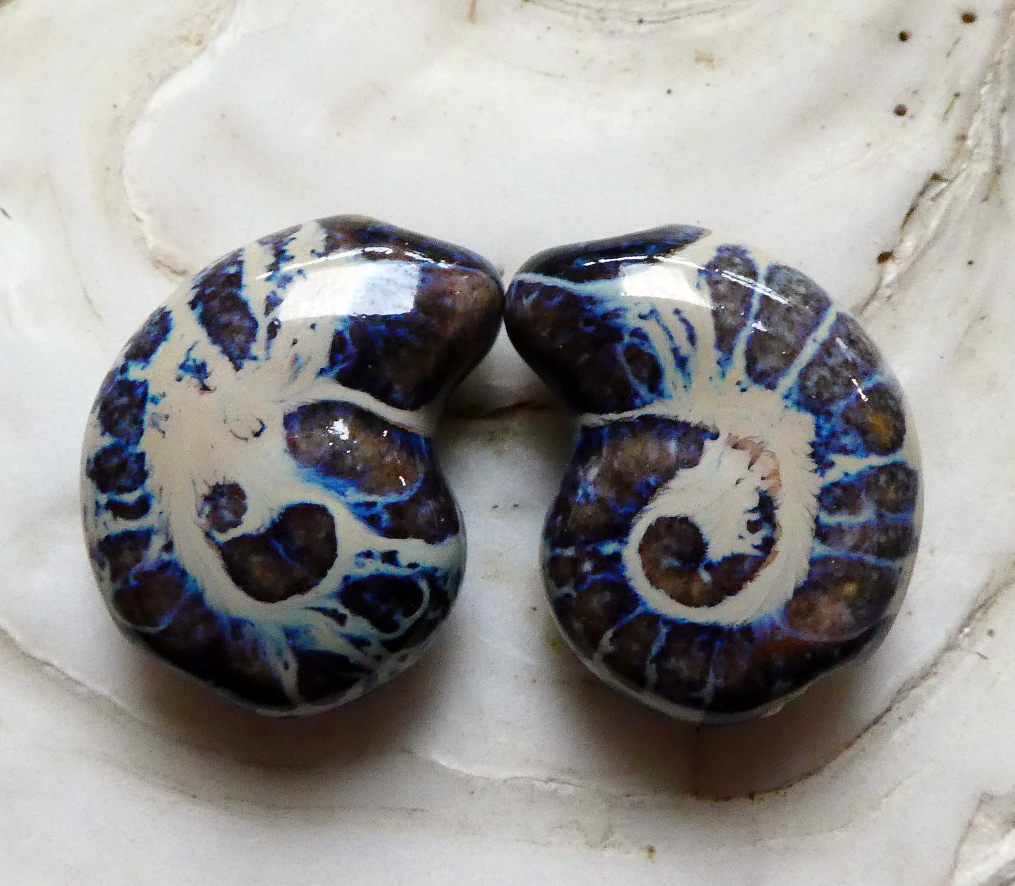 Ceramic Nautilus Beads