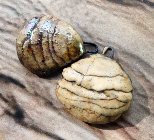 Ceramic Layered Shell Charms -Oxide - Asymmetric