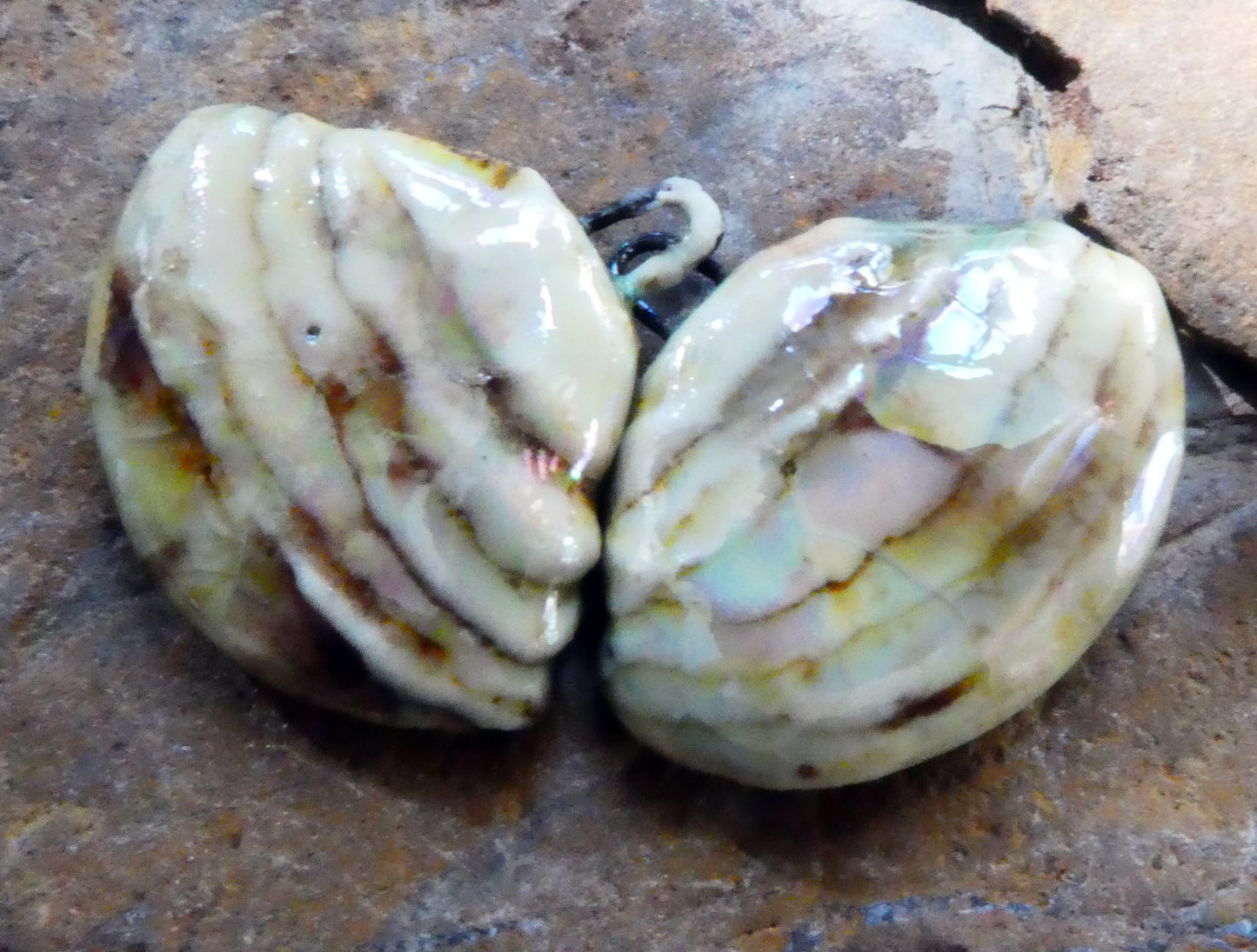 Ceramic Layered Shell Charms -Yadro