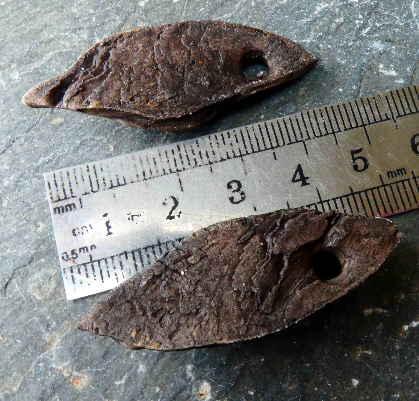 Ceramic Driftwood Shards with Lichen Earring Charms