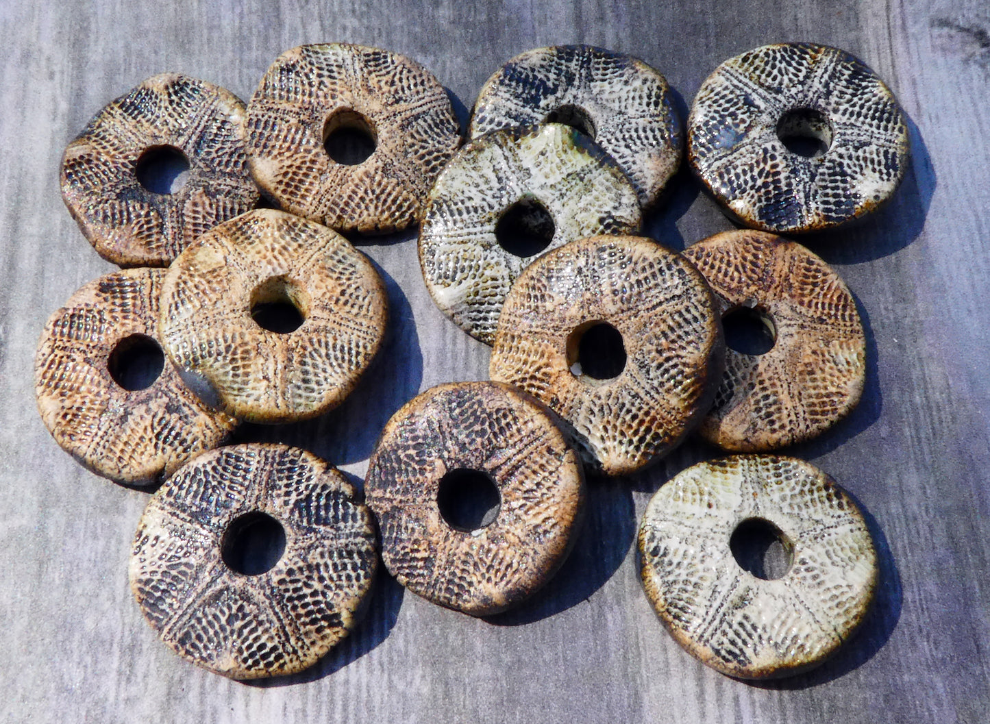 Ceramic Starfish Textured Discs