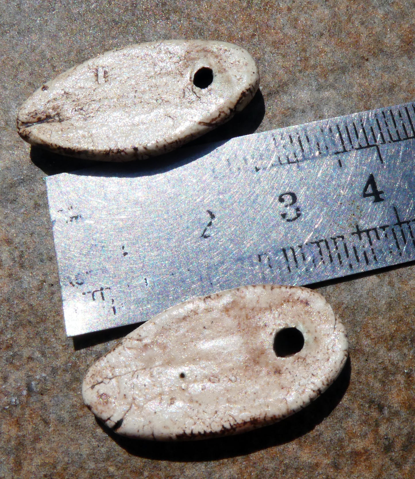 Ceramic Fish Fossil Decal Pebble Charms #4