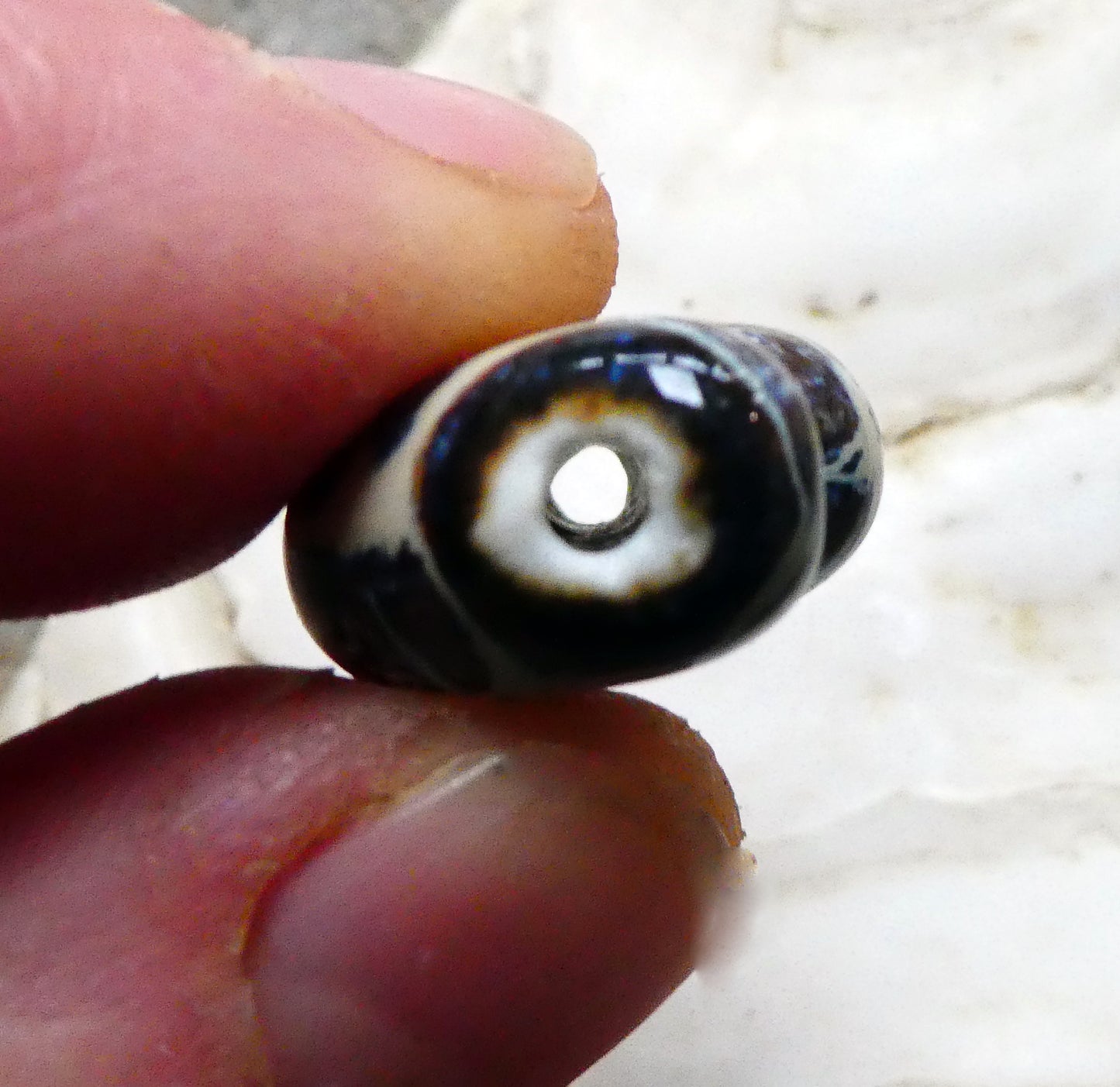 Ceramic Nautilus Beads