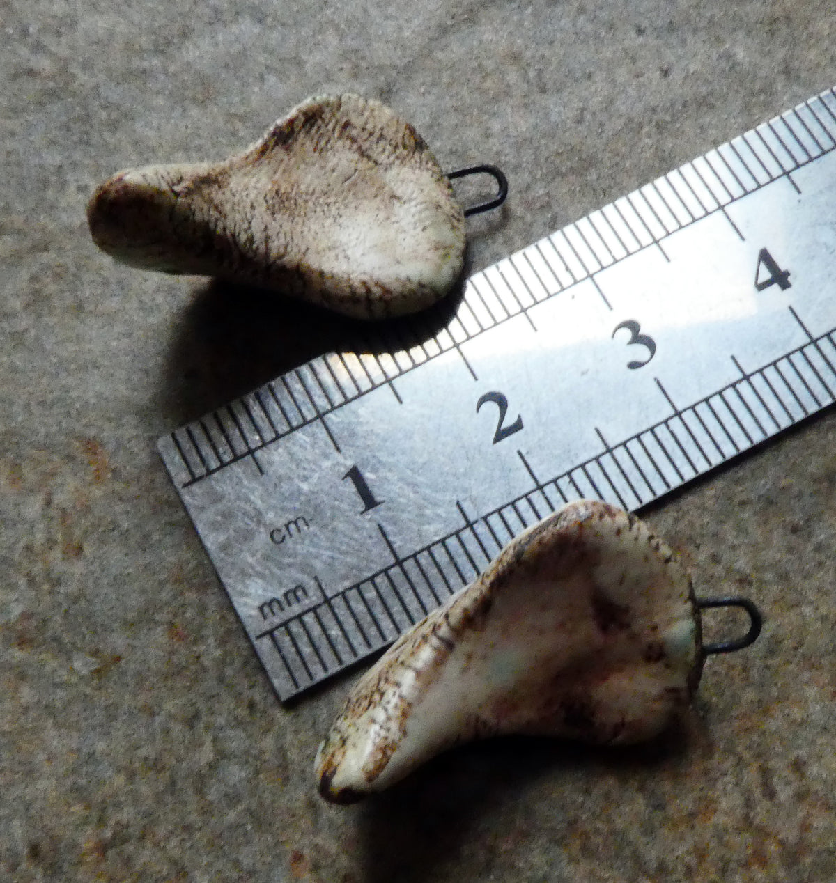 Ceramic Bird Beak Charms
