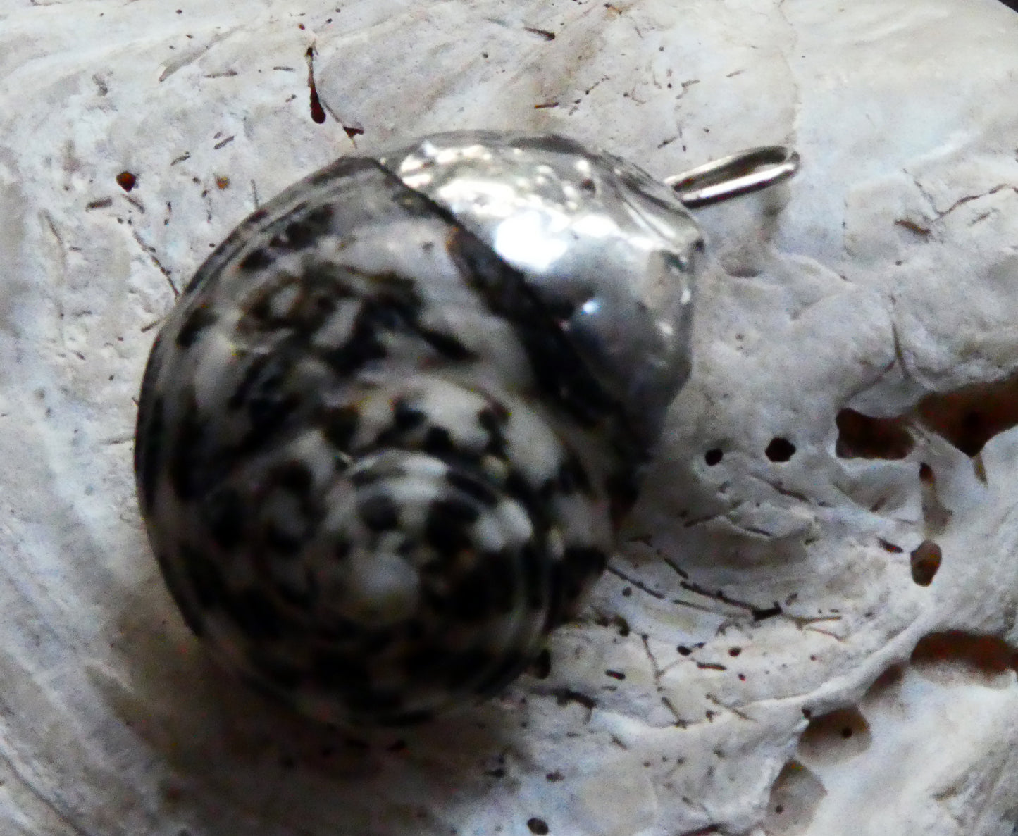 Shell Mini Pendant #2