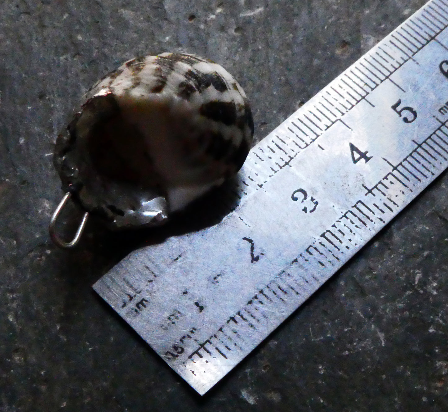 Shell Mini Pendant #2