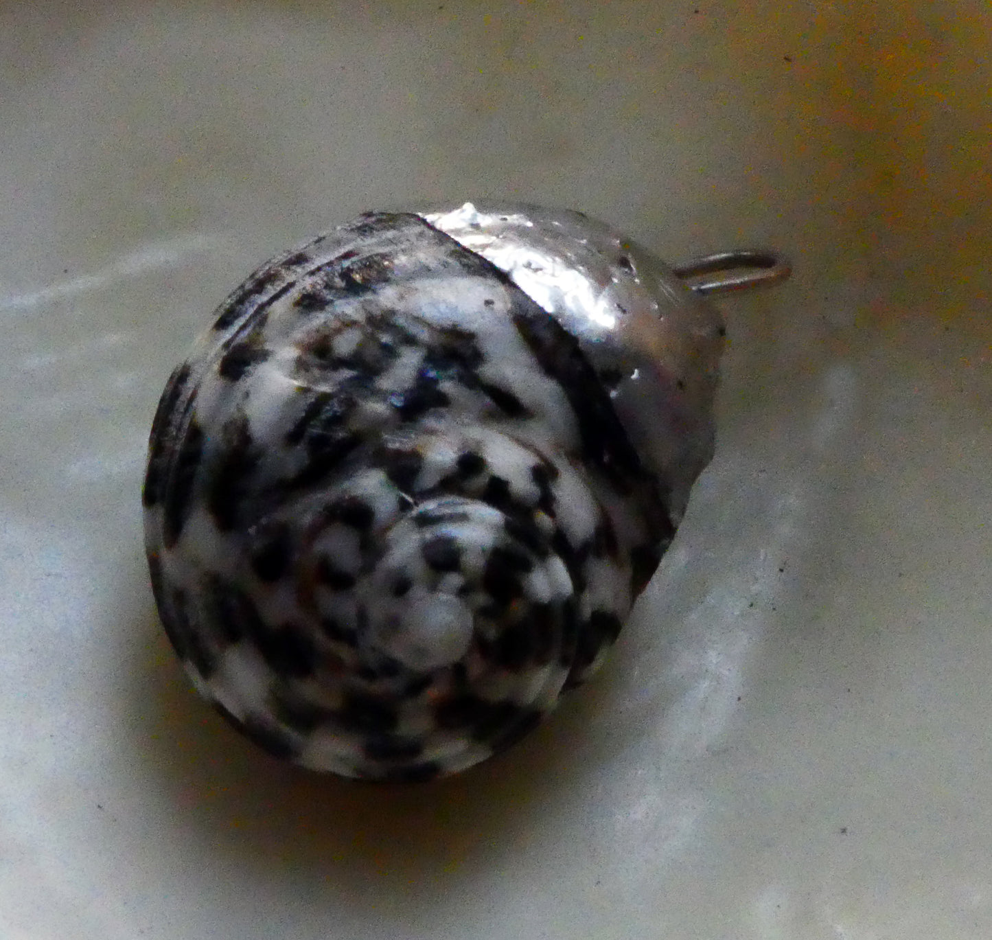 Shell Mini Pendant #2